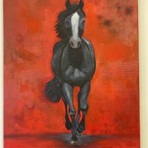 Yağlı Boya Siyah At Tablosu – 50x70 cm